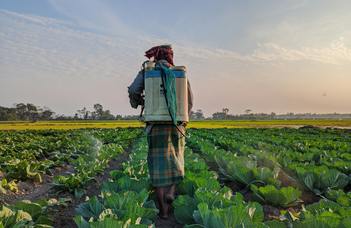 Climate change, vulnerability and adaptation: the case of Bangladesh