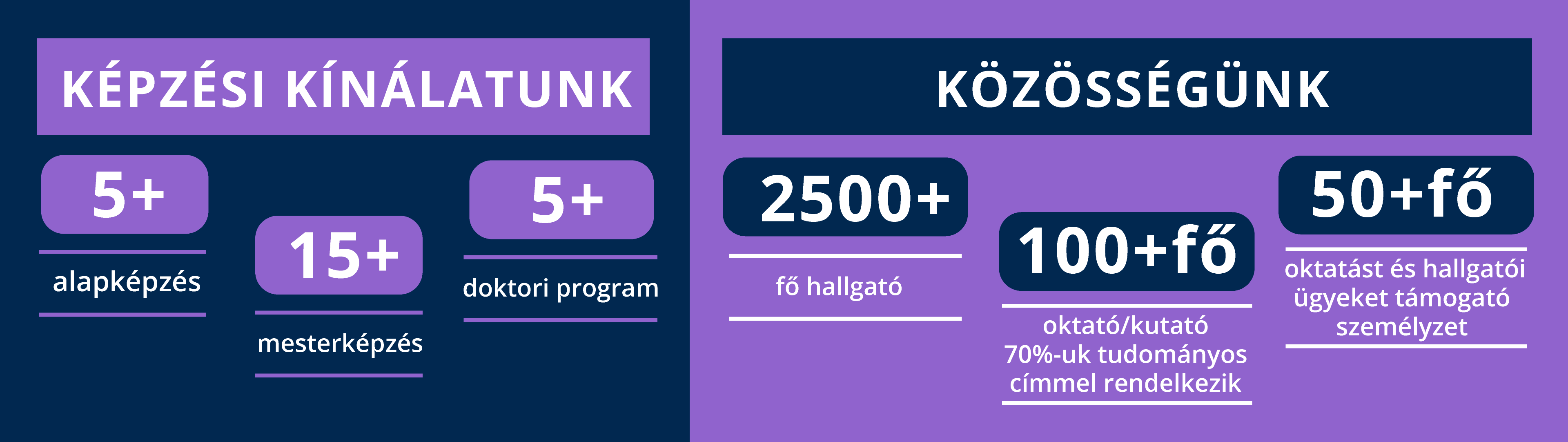 Infografika képzésekről és közösségről számadatokkal, lila és kék hátterekkel.